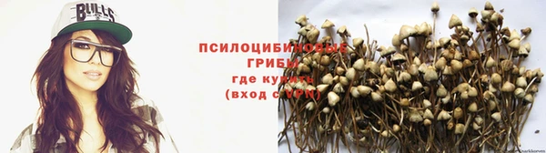 ГАЛЛЮЦИНОГЕННЫЕ ГРИБЫ Абаза