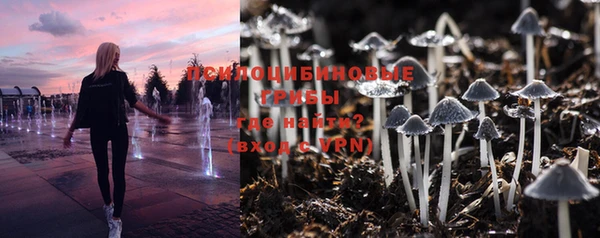 MESCALINE Покров