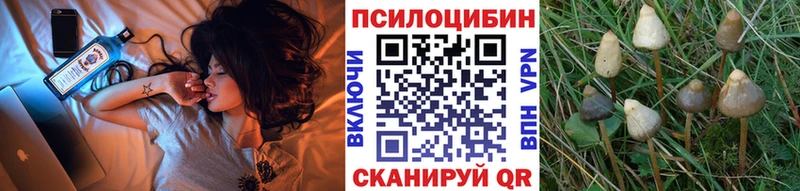 наркошоп Красавино Галлюциногенные грибы ЛСД